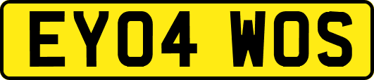 EY04WOS