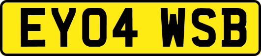 EY04WSB