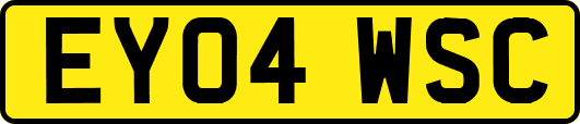 EY04WSC