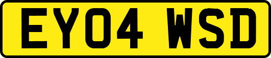 EY04WSD