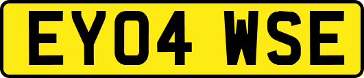 EY04WSE