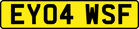 EY04WSF