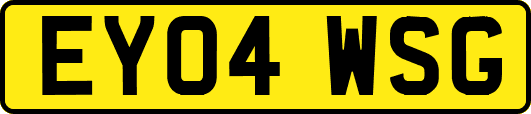 EY04WSG