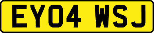 EY04WSJ