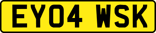 EY04WSK