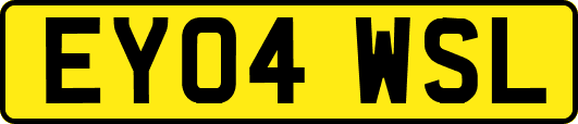 EY04WSL