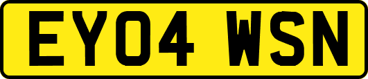 EY04WSN