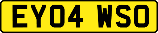 EY04WSO