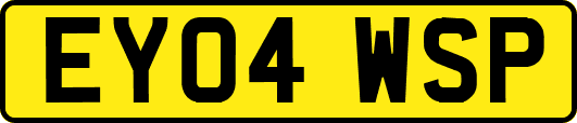 EY04WSP