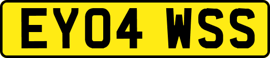 EY04WSS