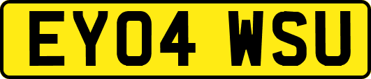 EY04WSU