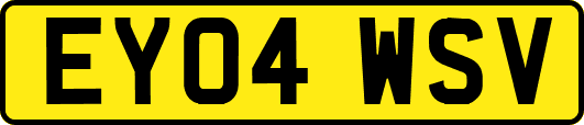 EY04WSV