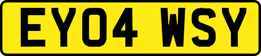 EY04WSY