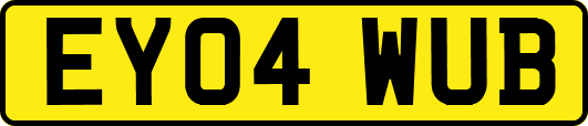 EY04WUB