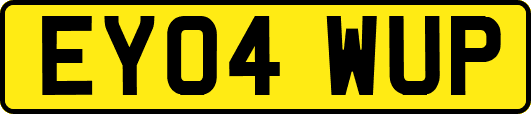 EY04WUP