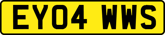 EY04WWS