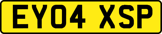 EY04XSP