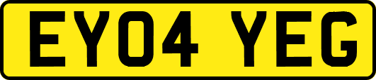 EY04YEG