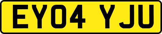 EY04YJU