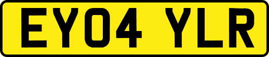 EY04YLR