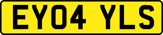 EY04YLS