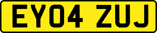 EY04ZUJ