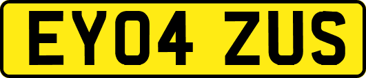 EY04ZUS