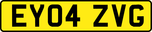 EY04ZVG
