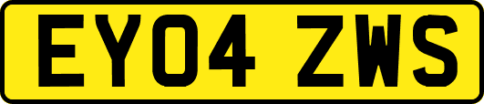 EY04ZWS