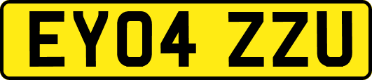 EY04ZZU