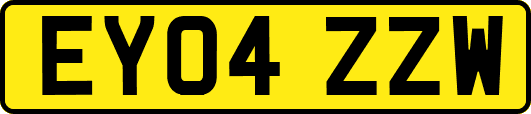 EY04ZZW