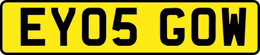 EY05GOW