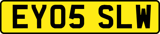 EY05SLW