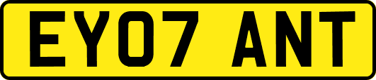 EY07ANT