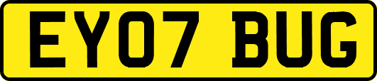 EY07BUG