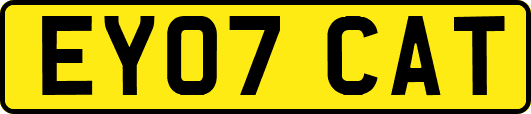 EY07CAT