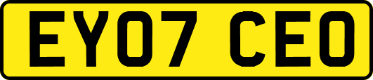 EY07CEO
