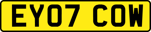 EY07COW