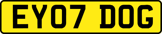 EY07DOG
