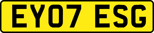 EY07ESG