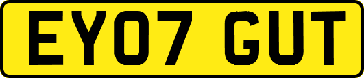 EY07GUT