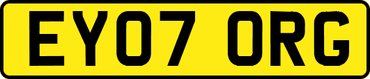 EY07ORG