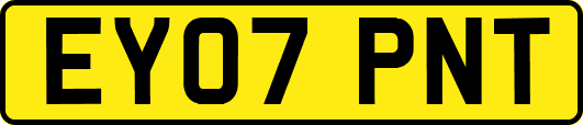 EY07PNT