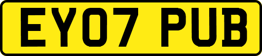 EY07PUB