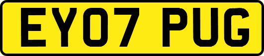 EY07PUG