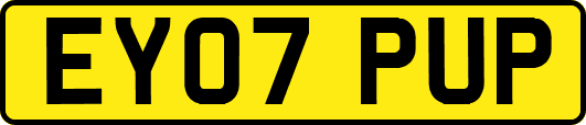 EY07PUP