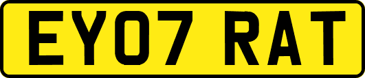 EY07RAT