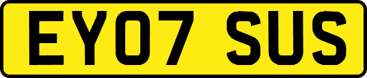 EY07SUS