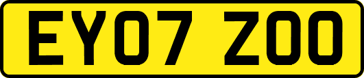 EY07ZOO