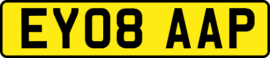 EY08AAP